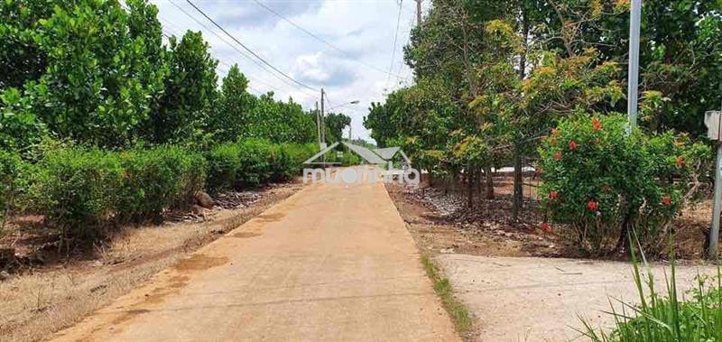 Bán rẻ đất nền bình lộc