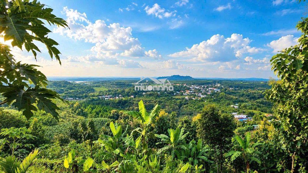 🌿Bỏ phố về vườn view đẹp chỉ từ 989 tr– cuối tuần có 1 nơi để trở về - Ảnh 4