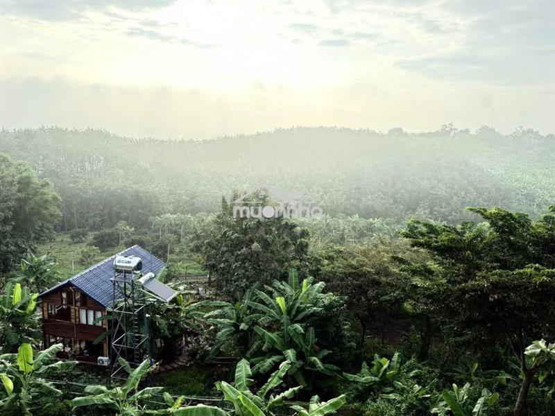 🌿 La ngà – 1.200m² đất vườn gần hồ trị an, chỉ 500 triệu - ht bank