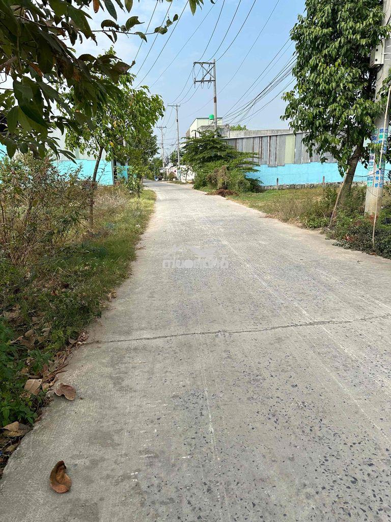 Chính chủ bán đất - Ảnh 3
