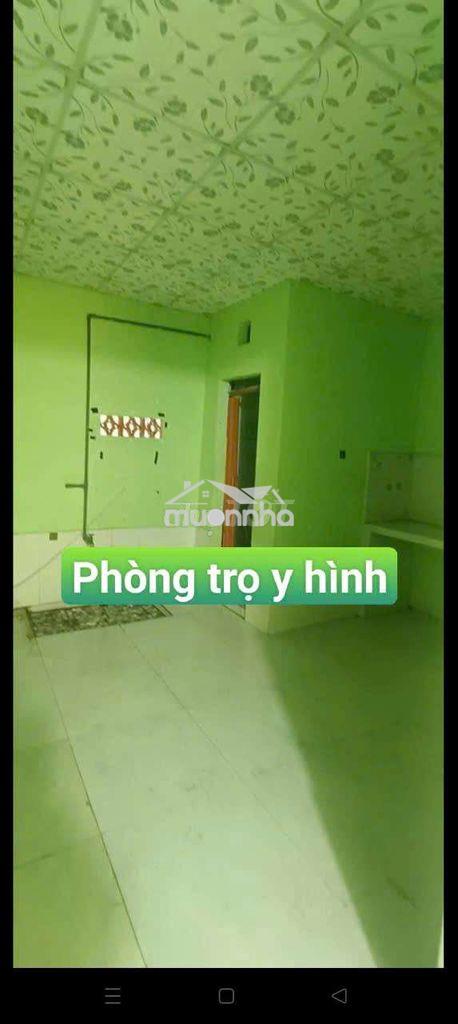 Nhà trọ cho thuê dt 4*8. đường 6a ấp 6 gần đường lại hùng cường vlb - Ảnh 2