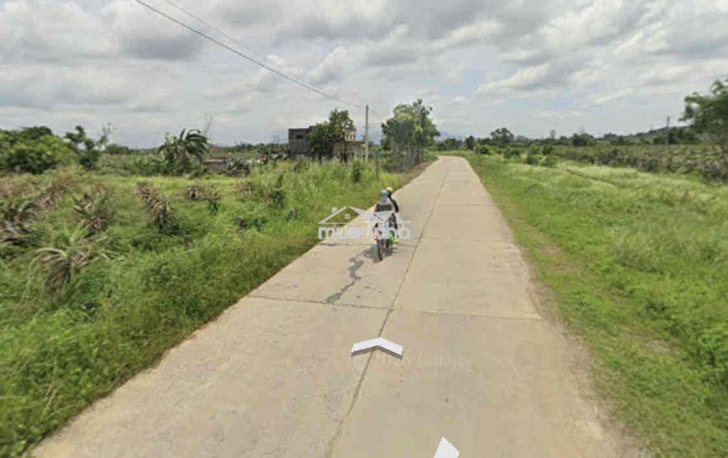 1000m2 hàm minh giá 450triệu (gần taku-bưng thị sungroup) - 3