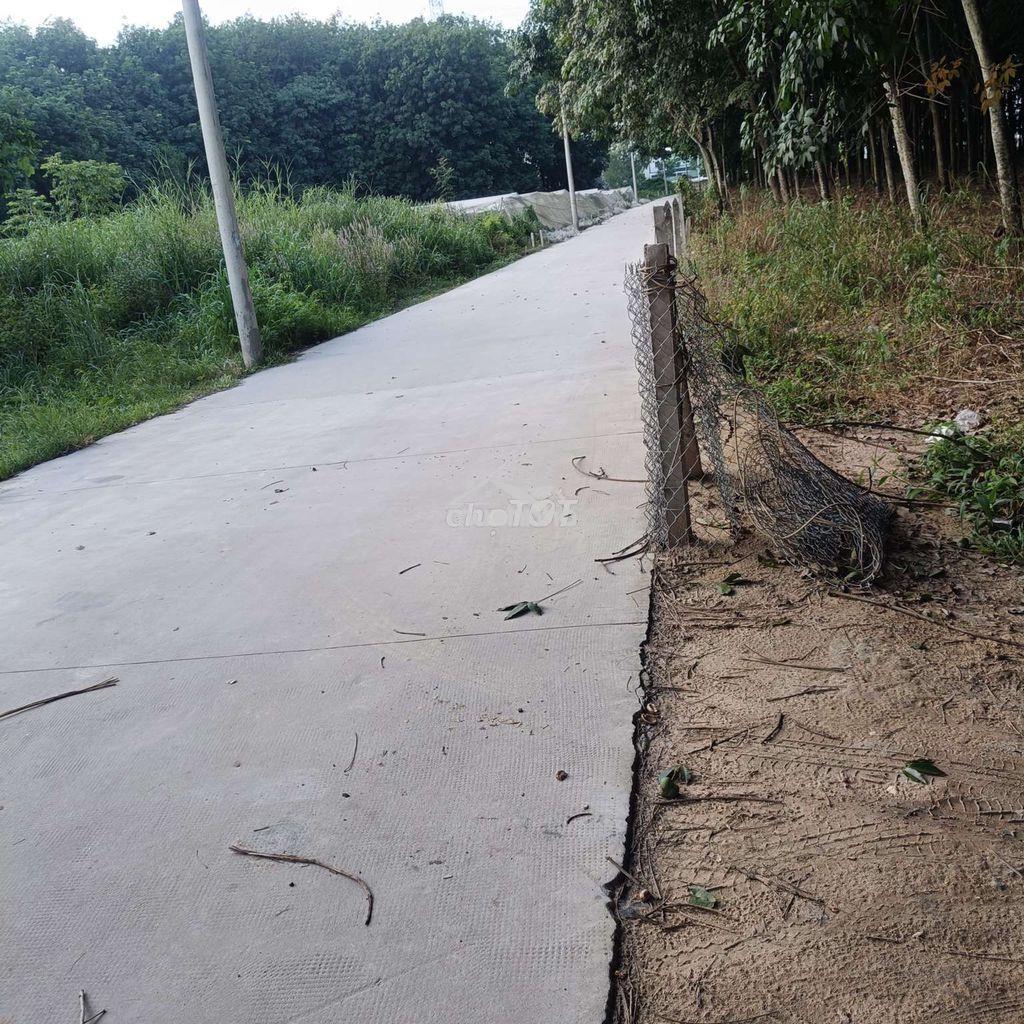 Cho thuê mặt bằng kho baic - Ảnh 3