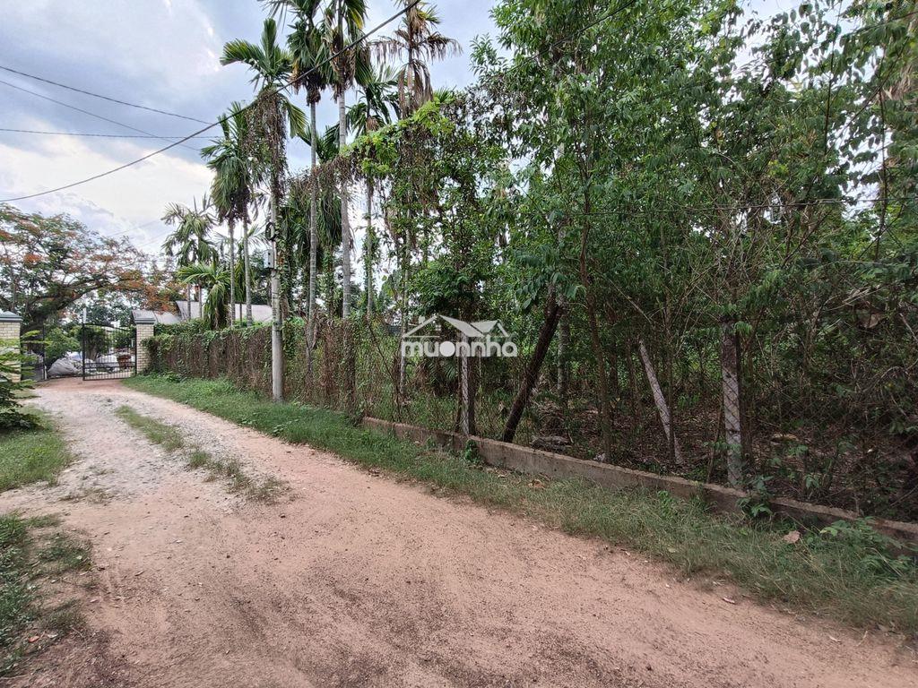 Lô đất mt đường xe tải 1 sẹc ngắn an nhơn tây, dt 1600m co 215m thổ - 3