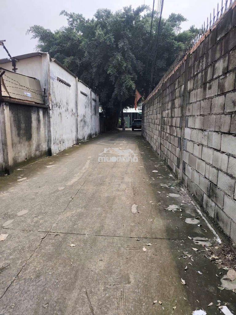 Nhà rẻ nhất khu vực vực - Ảnh 2