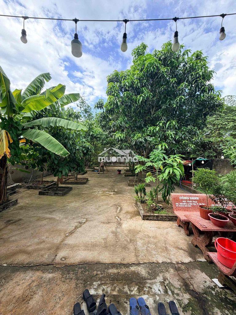 Chính chủ bán nhà sân vườn – 540m², trung tâm cần thơ - Ảnh 4