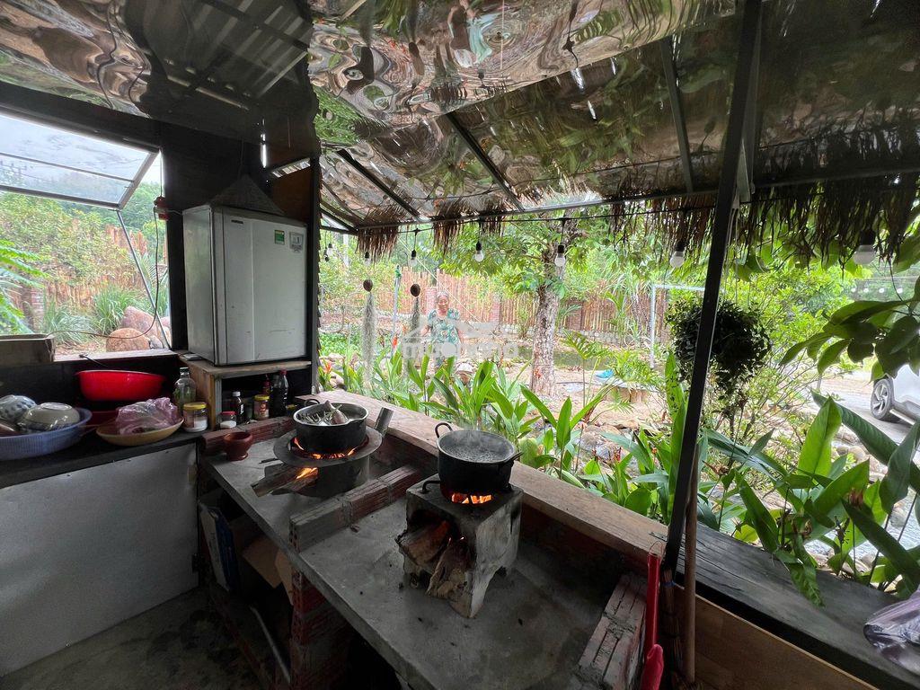 Cần bán căn nhà vườn tâm huyết tại thôn hoà phước, xã hoà phú - Ảnh 2