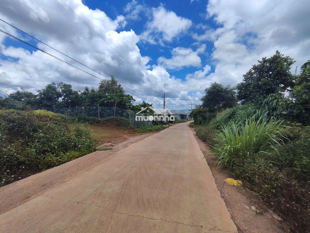 Bán đất nông nghiệp gần 2.000m² – lộc đức cũ, bảo lâm 2, lâm đồng - 3