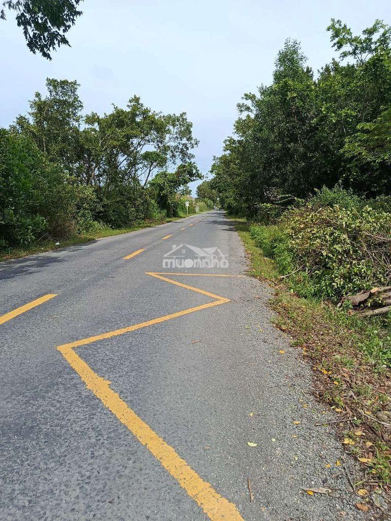 Bán đất cà mau xã khánh an huyện u minh - Ảnh 2