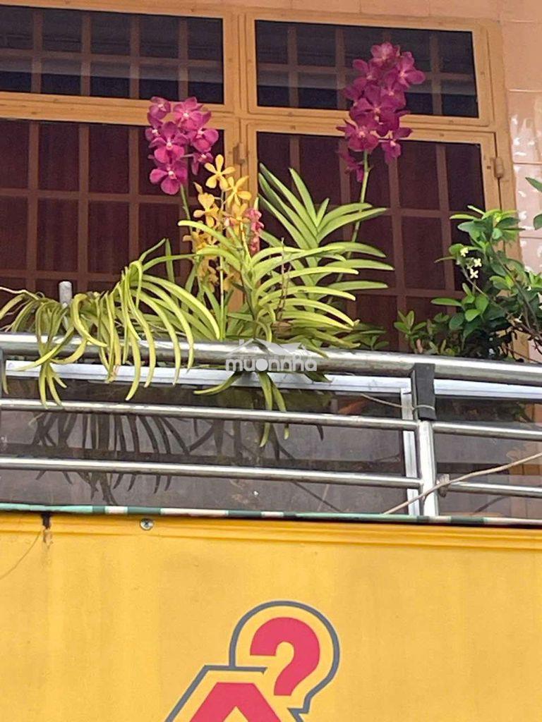 Nhà mặt tiền  đường lý thái tổ