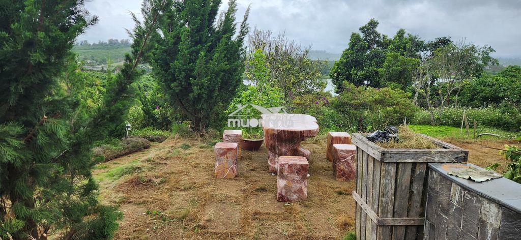 Cho thuê nhà biệt thự vườn 6000m2 - Ảnh 4
