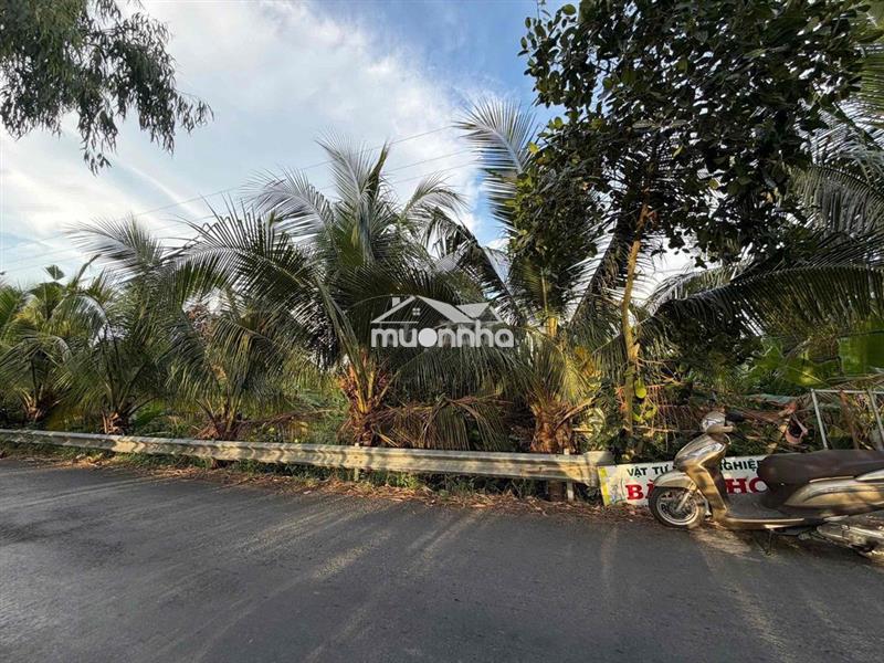 Chính chủ bán 13.600m2 đất vườn sầu riêng đang thu hoạch - tp. cao lãn