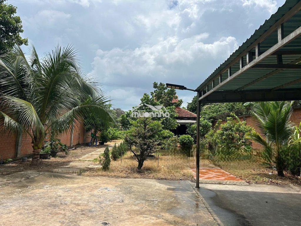 Bán đất tặng nhà vườn 556m2-1tỷ150 tỉnh lộ 2, xã tân phú trung, củ chi - 2