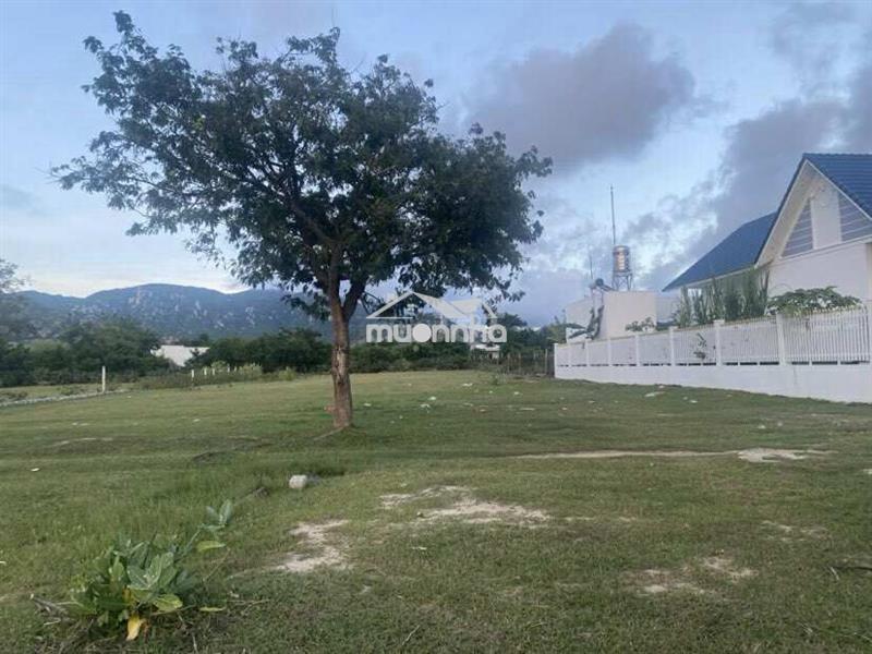 Chính chủ bán đất ngay sảnh cưới hạnh nữ nhơn hải 1994m2, 1,85 tỷ