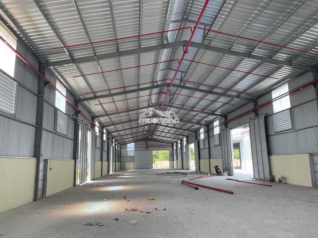 Cho thuê 1.035m2 nhà xưởng bến cát bình dương pccc tự động - 4