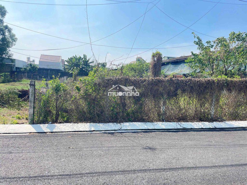 Chủ ngộp 500m2 (10x50) giá 730tr mặt tiền  nguyễn viết xuân tc 200m2 - Ảnh 2