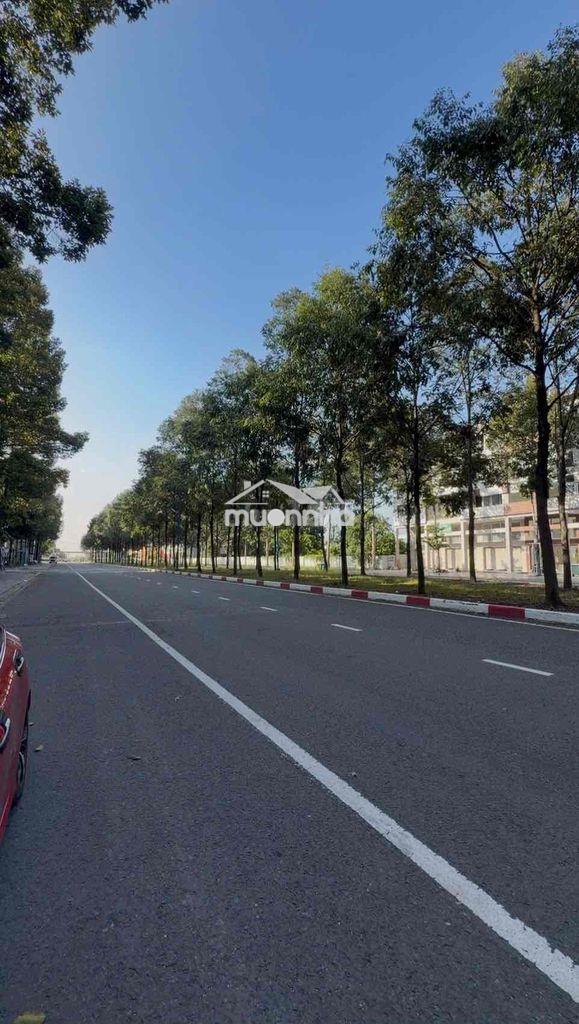 Cho thuê mặt bằng – đường lý thái tổ, thành phố mới bình dương - 3