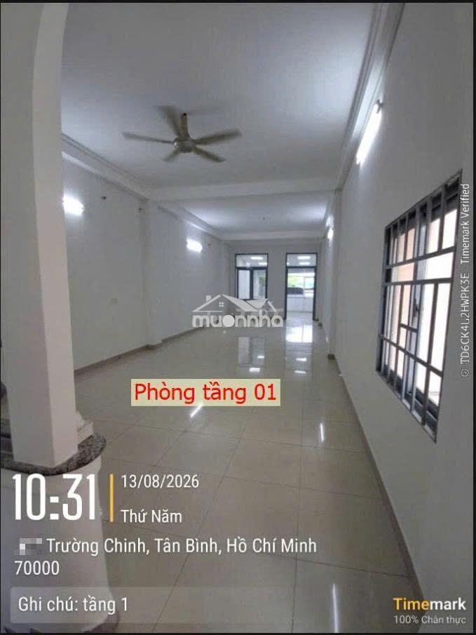 Nhà mặt tiền đường trường chinh- tân bình - vị trí vàng kinh doanh - Ảnh 4