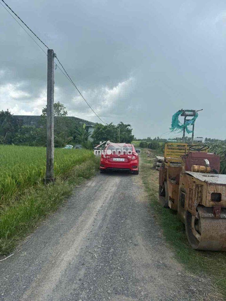 Xây nhà vườn quá đẹp - 4