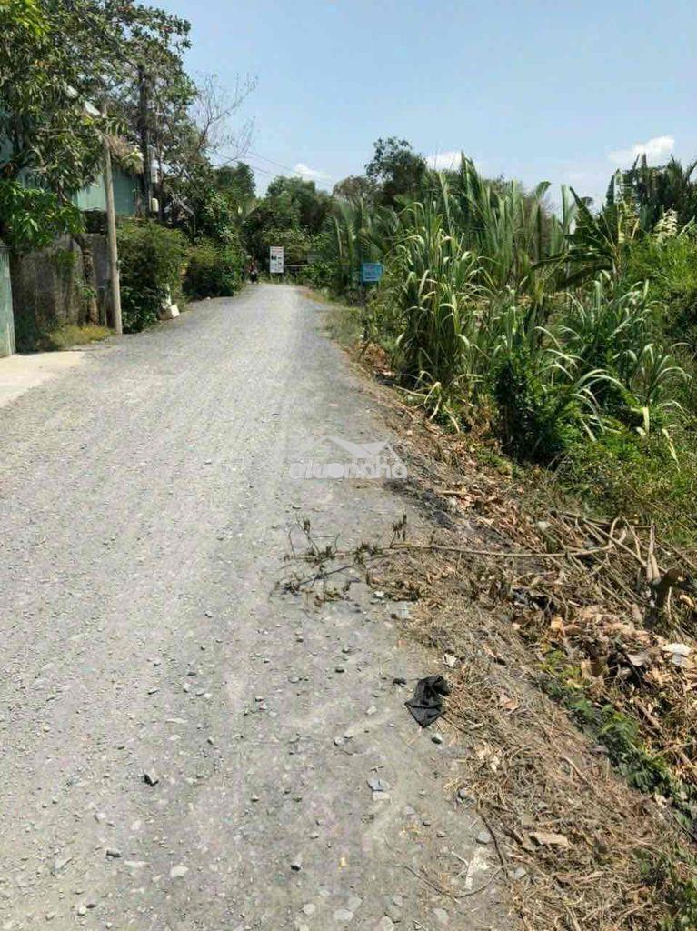 🏡 Đất phong phú – 115m² – giá 1,8 tỷ