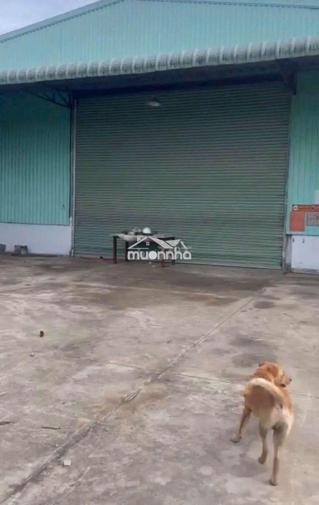 Cho thuê xưởng bình chuẩn thuận an bình dương - Ảnh 3