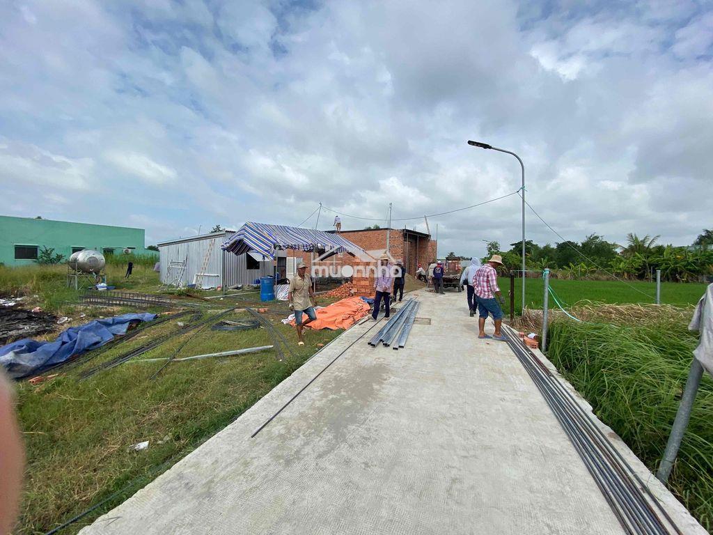 Đất thổ cư chính chủ sổ sẵn cách bình tân 30 phút - Ảnh 3