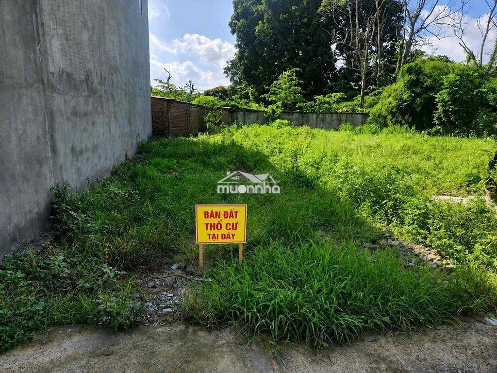 Chính chủ cần bán đất trung tâm lê duẩn, long thành, đồng nai - Ảnh 4