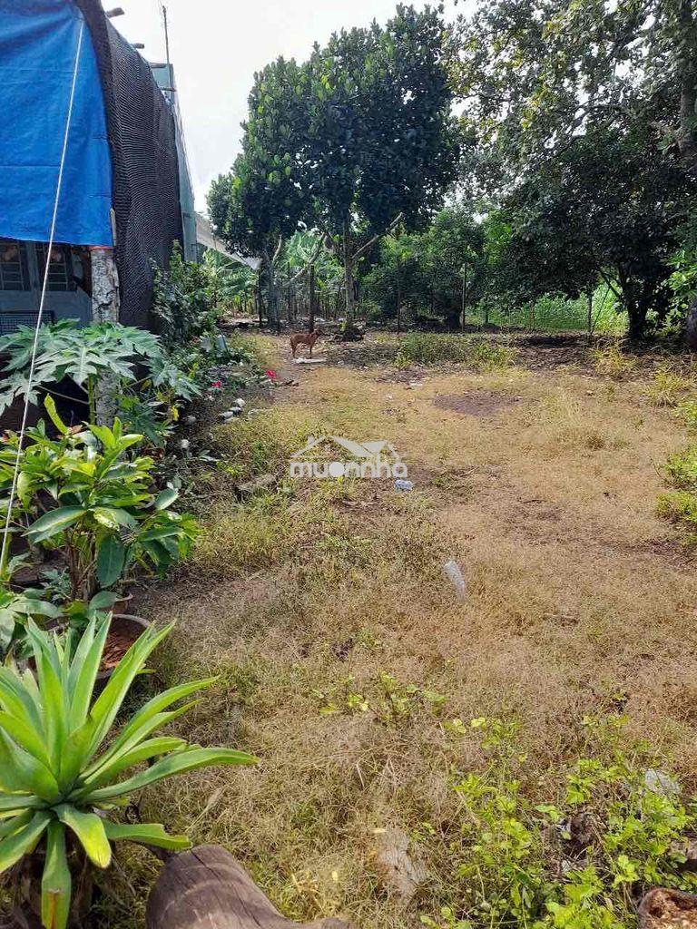 Bán rẻ lô đất bình lộc - 3
