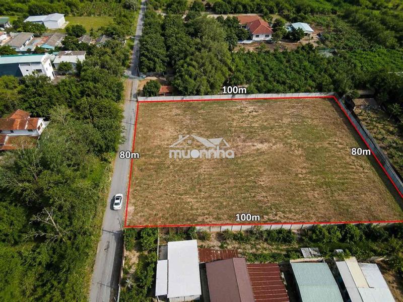🔥 Bán gấp gần 7835m² đất an nhơn tây – giá 17 tỷ 5 tl🔥