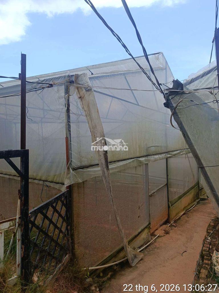 100m2 đất nhà lồng 650 triệu - 2