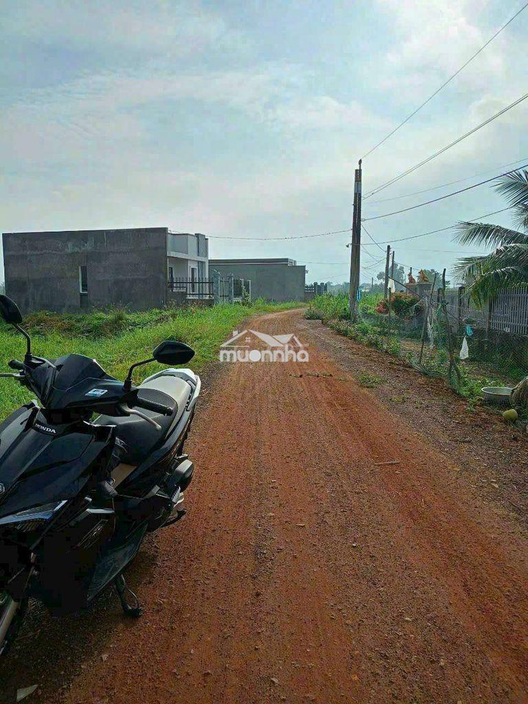 2,5 công đất mt đường nguyễn văn quá, lợi bình nhơn tp tân an  - Ảnh 2