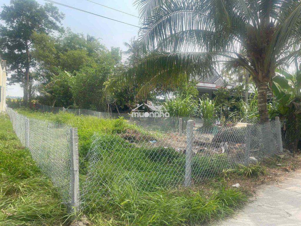 Cần bán đất 221.5m2 (có 50m thổ cư) ở ấp mỹ lợi b, xã mỹ tú, cần thơ - 2