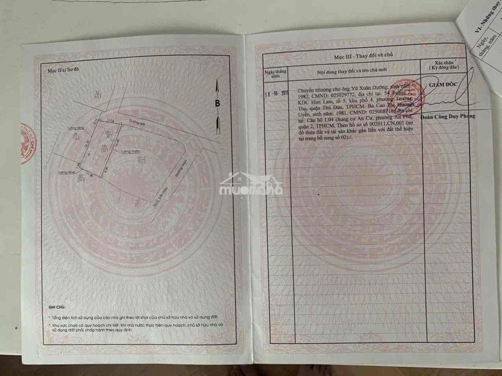 Bán nhà có sẵn hai dãy trọ 14 phòng - 60 triệu/ tháng - Ảnh 3