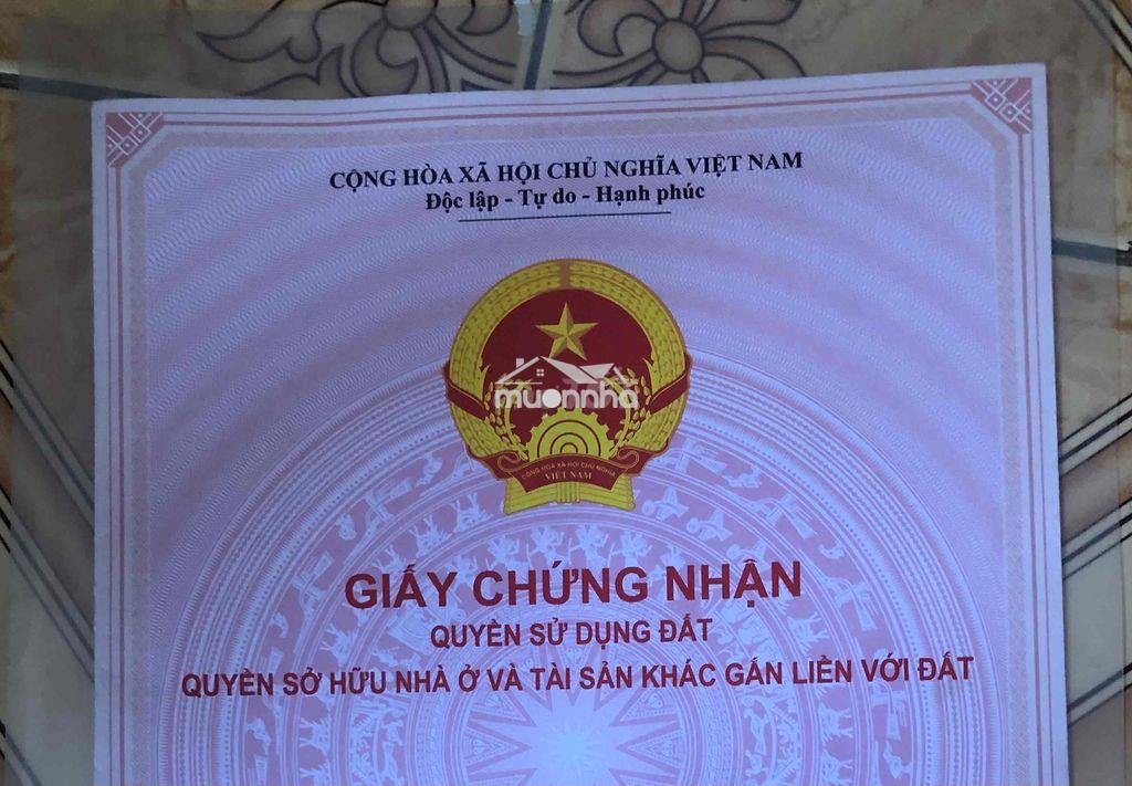 Bán đất 1000m2 huyện bình khánh , cần giờ - 3