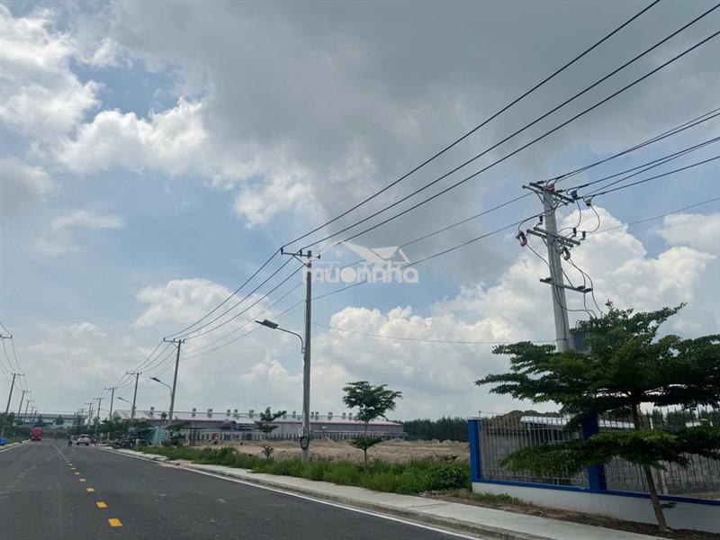 Cho thuê đất, nhà xưởng xây sẵn và xây mới theo yêu cầu