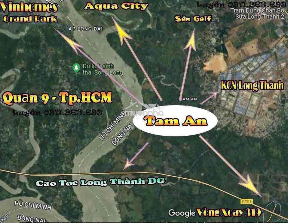 Bán 1825m2 mt dương diên nghệ-an phước-đnai.cách kđt aqua city chỉ 2km - Ảnh 3