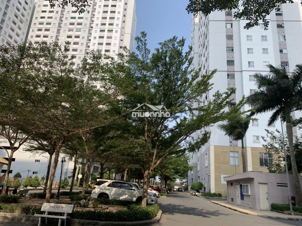 Bán căn hộ sổ hồng riêng giá 1.450 tỷ tại hqc plaza,sang tên ngay - Ảnh 3