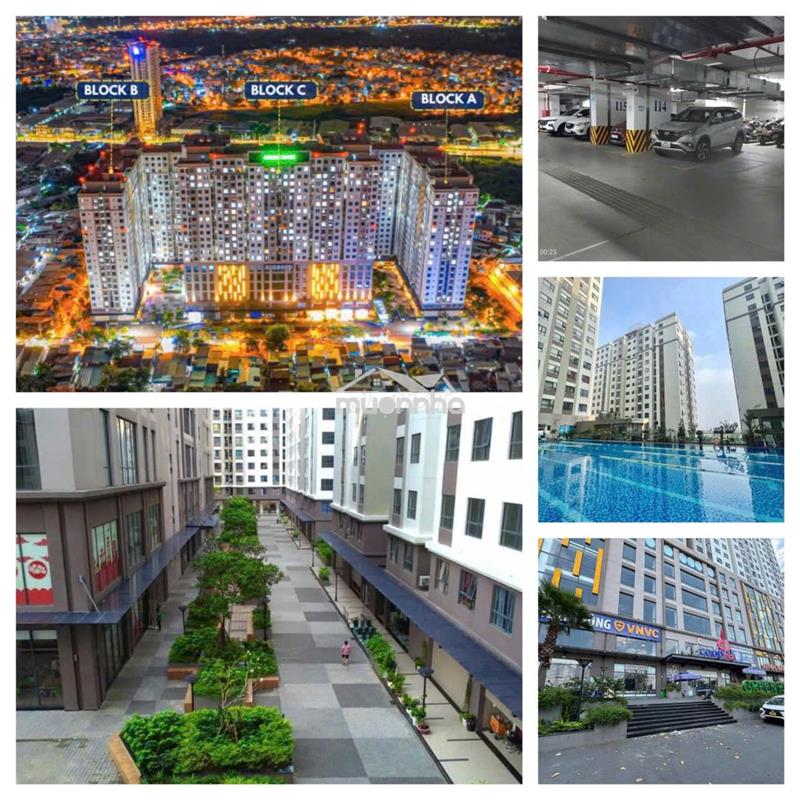 Bán ch green river dt80m2/ 3pn 2wc 3tỷ150. dt60m2/ 2pn 2wc 2tỷ650, q8