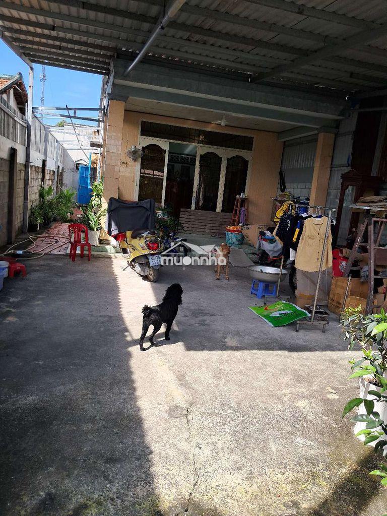 Cho thuê nhà nguyên căn 240m2 hẻm xe hơi - Ảnh 4