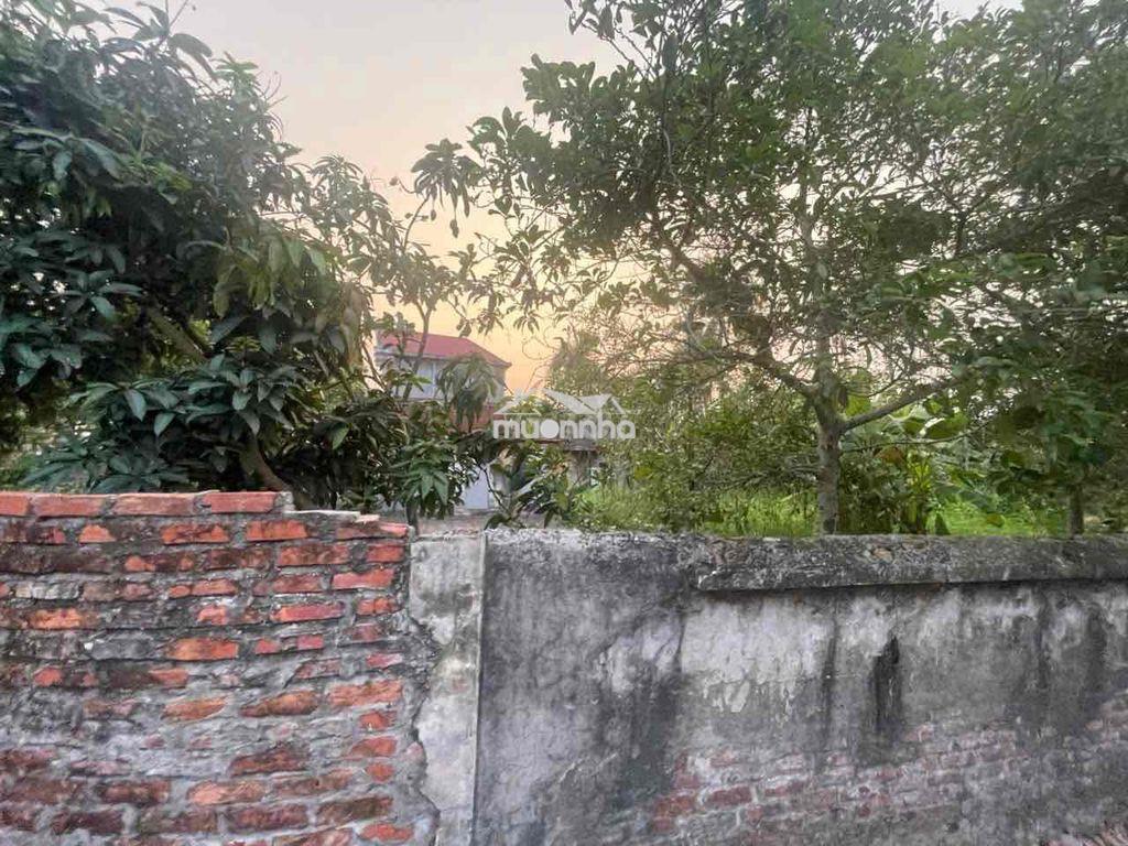 Bán đất tại cống hiền , vĩnh bảo - 3