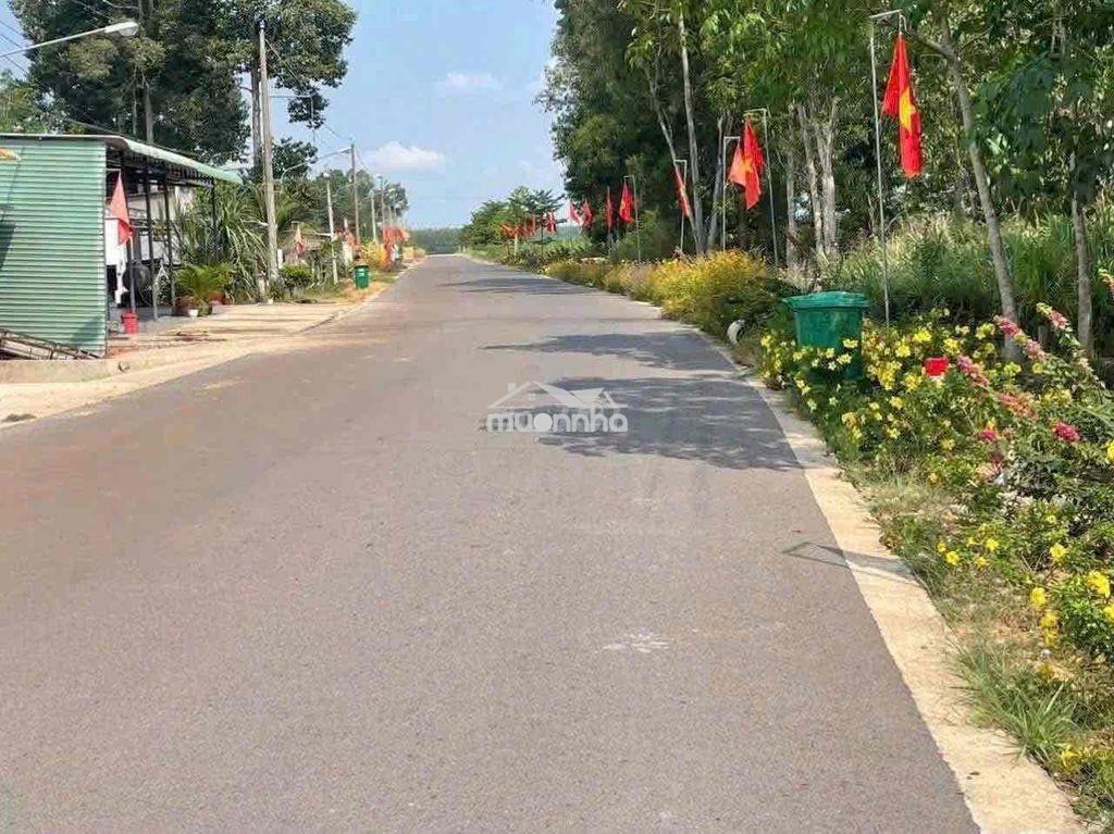 Mảnh vườn tâm huyêt 1000m1 - Ảnh 3