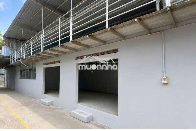 Nhà kho cũ vĩnh phú 20 201m2 đường xe hơi tiện xây mới để ở làm kho - 4