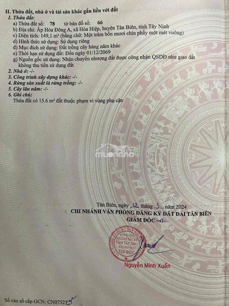 Đất giá rẻ cho ace ở thật đây - Ảnh 4