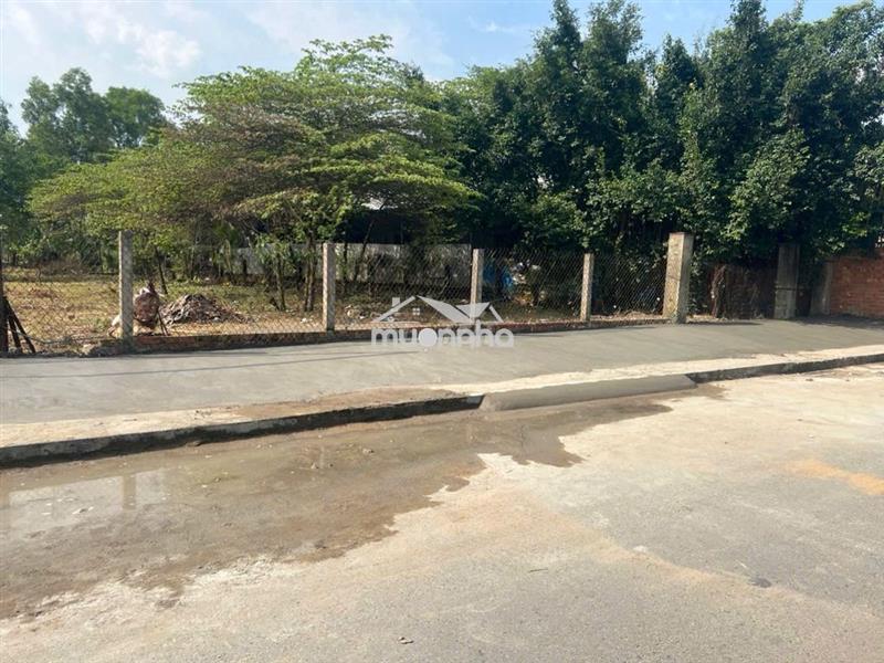 Bán đất 1561 m2 đường bảy tấn - sát dự án khu đô thị hưng long