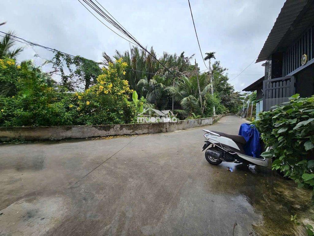 Hẻm 182 hiệp bình  - Ảnh 2