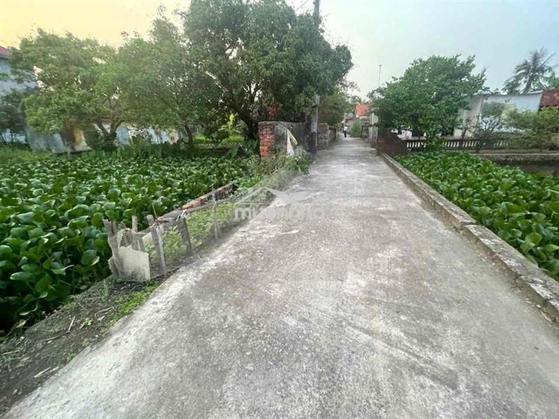 Bán đất tại cống hiền , vĩnh bảo
