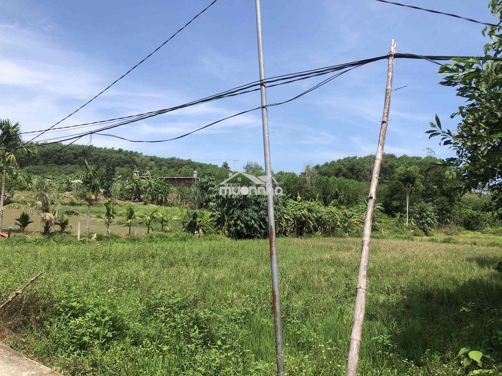 Bán đất vườn - 2