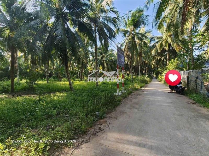 Đất gần cầu ba lạc long mỷ giồng trôm bến tre