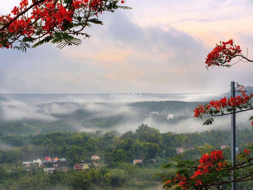 🌿Bỏ phố về vườn view đẹp chỉ từ 989 tr– cuối tuần có 1 nơi để trở về - Ảnh 3