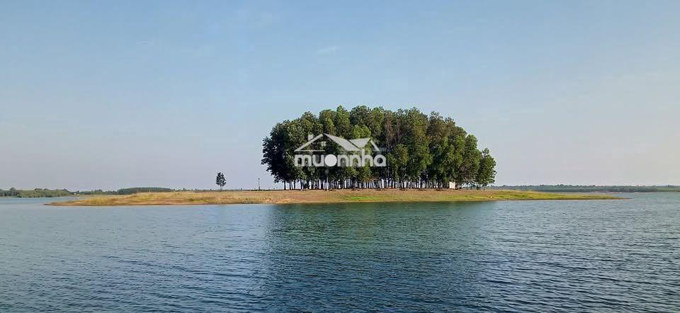 🌊 🌿Đất vườn gần hồ trị an 2.000m² – 990 triệu, nghỉ dưỡng lý tưởng🌿 - Ảnh 3